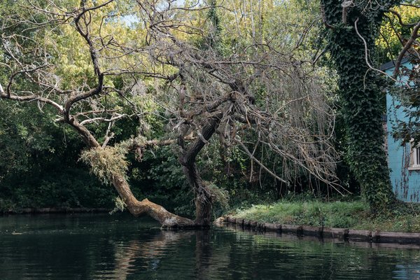 Accessoires orthopédiques : soulagement et confort garantis