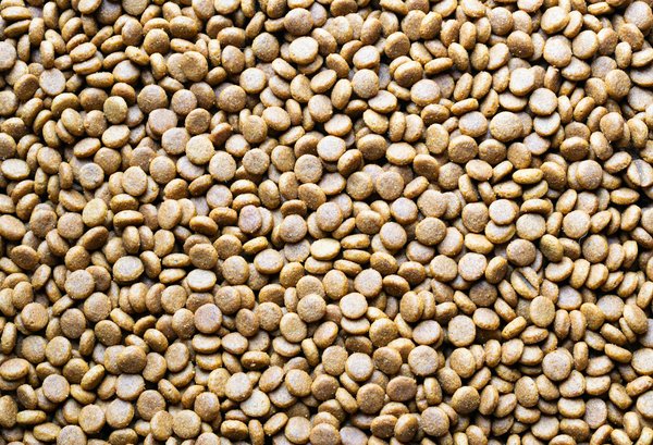 Un psycoach pour surmonter vos défis à nîmes